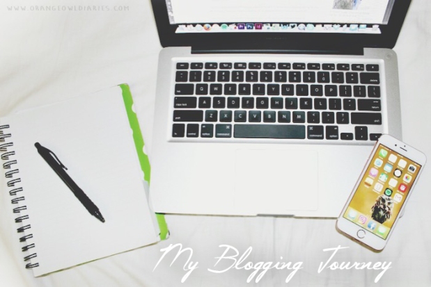 my blogging journey